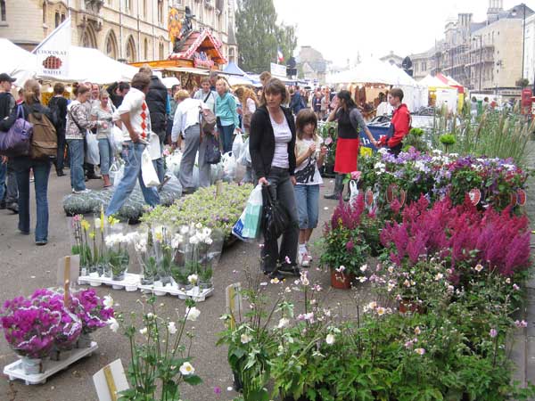 Dutch flowers