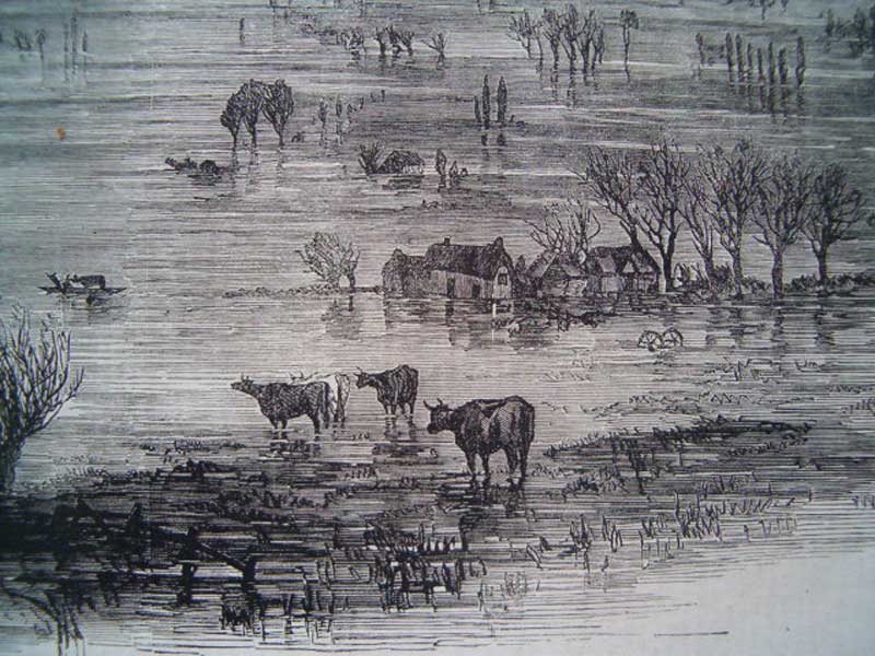 Farm