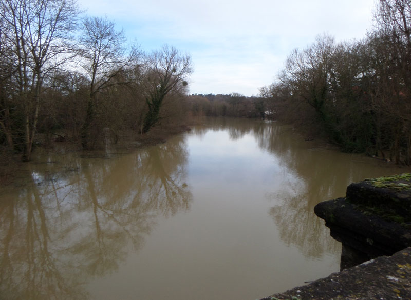 Angel Meadow
