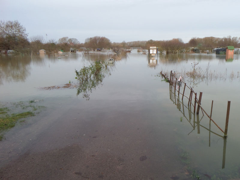 Botley Road allotments