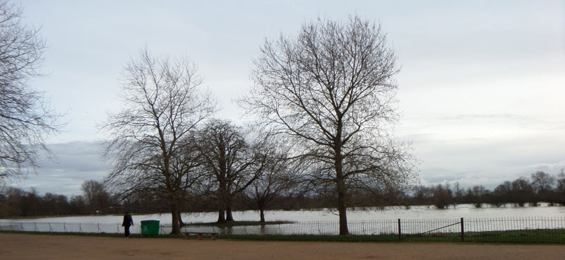 Christ Church Meadow