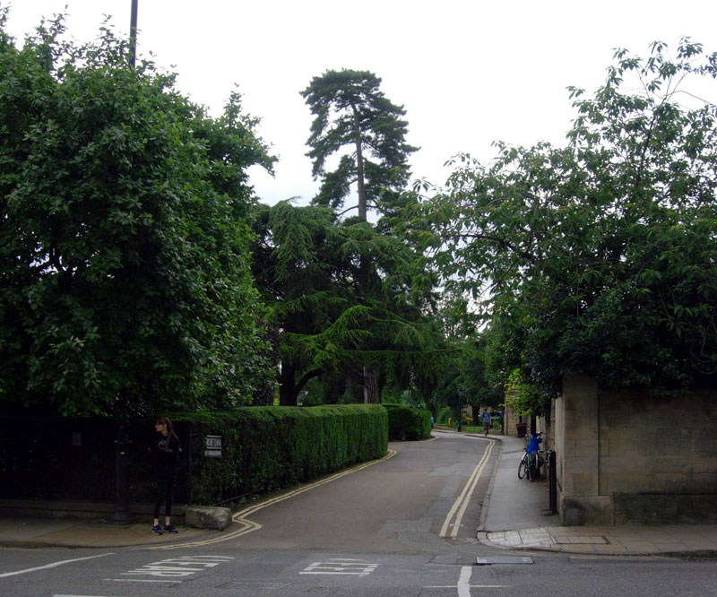 Rose Lane