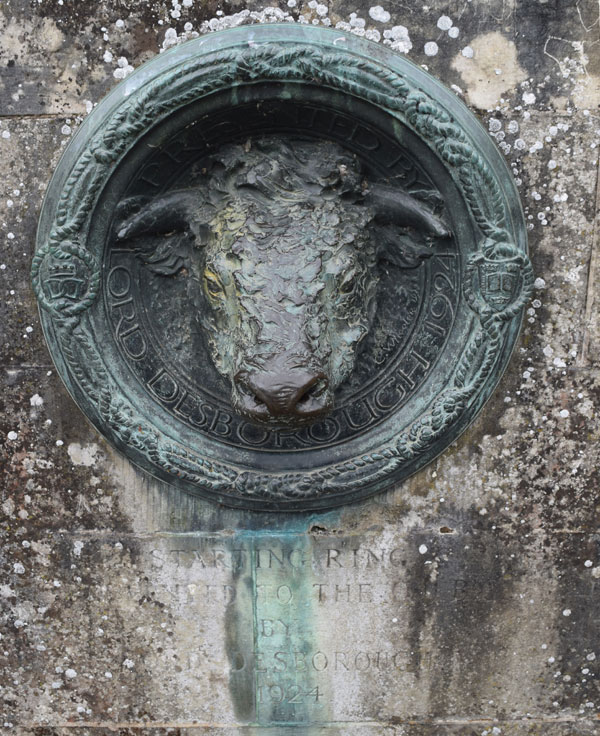 Iffley ox