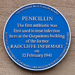 Penicillin treatment