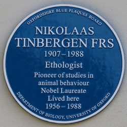 Tinbergen blue plaque