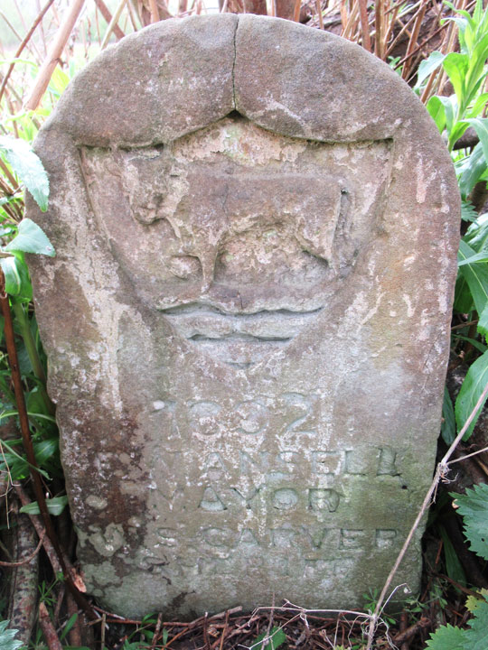 Boundary stone in Iffley Meadows