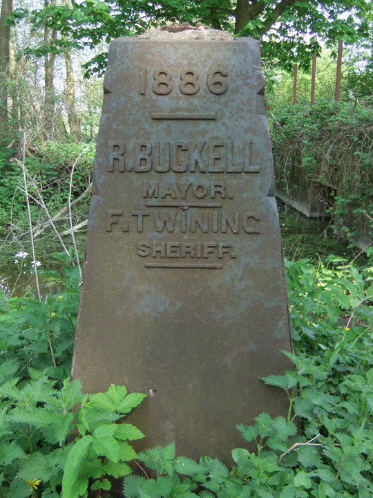 Stone in Marston Meadow