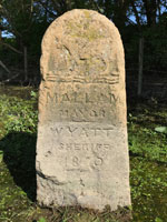 Stone in Marston Meadows