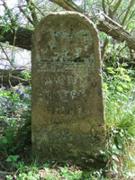Stone in Marston Meadows