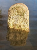 Port Meadow