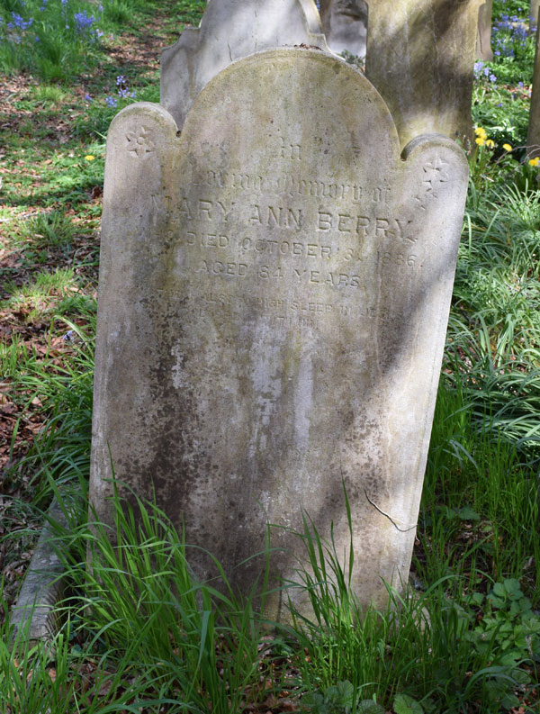 Mary Ann Berry