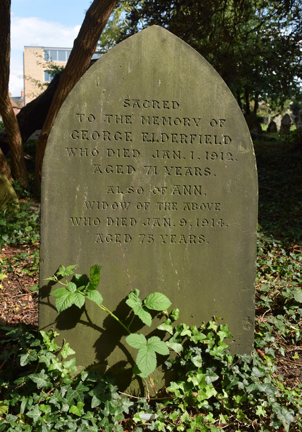 George Elderfield