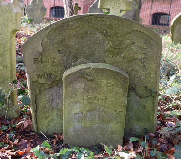 Elizabeth Fowler