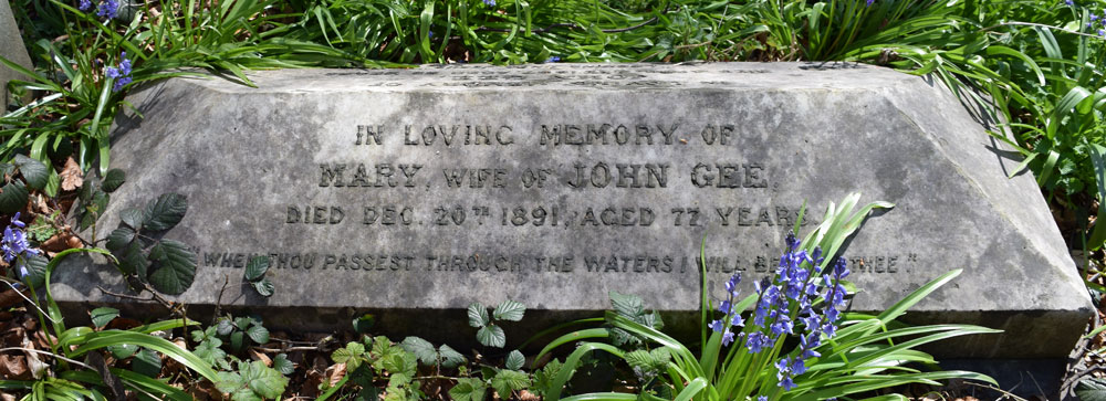 Mary Gee