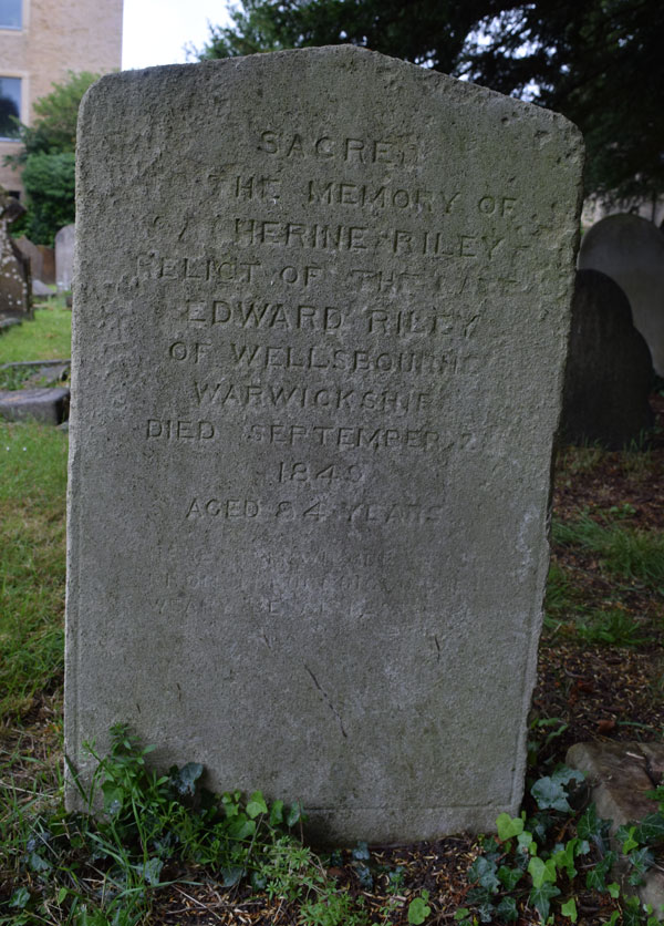 Catherine Riley