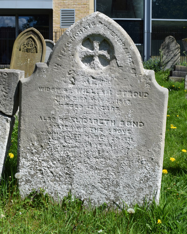 Anne Stroud